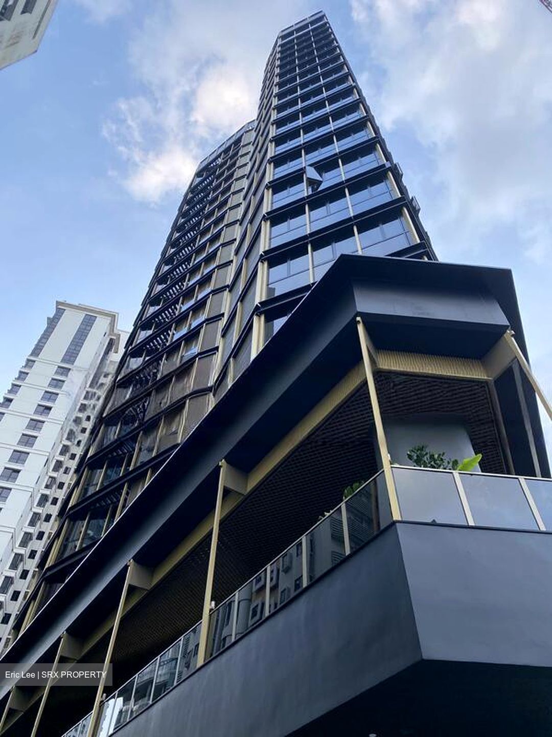 Draycott Park (D10), Condominium #538923101